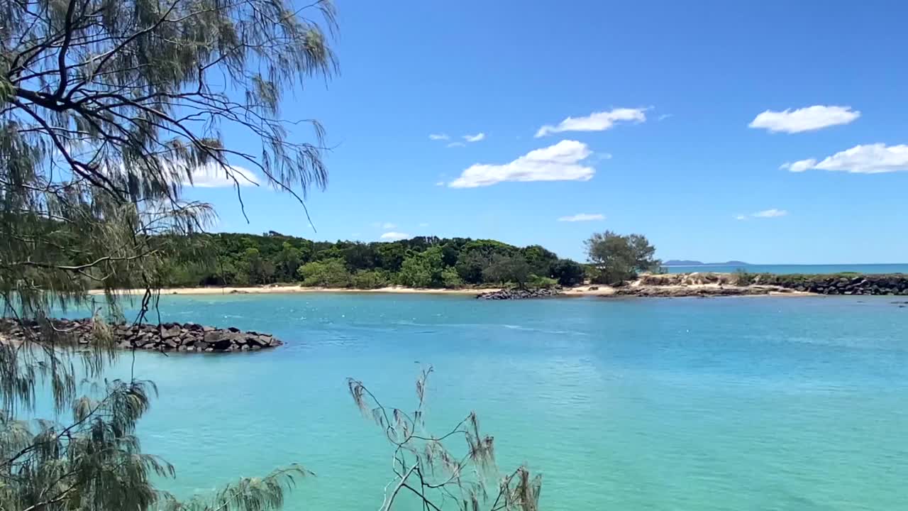 穿过树木的海滩海水视频素材