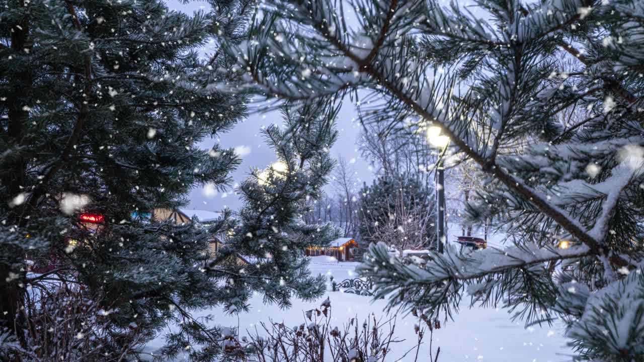 冬季景观与降雪，圣诞节冬季美丽的景观，cinemagraph，视频循环，美丽的软降雪视频素材