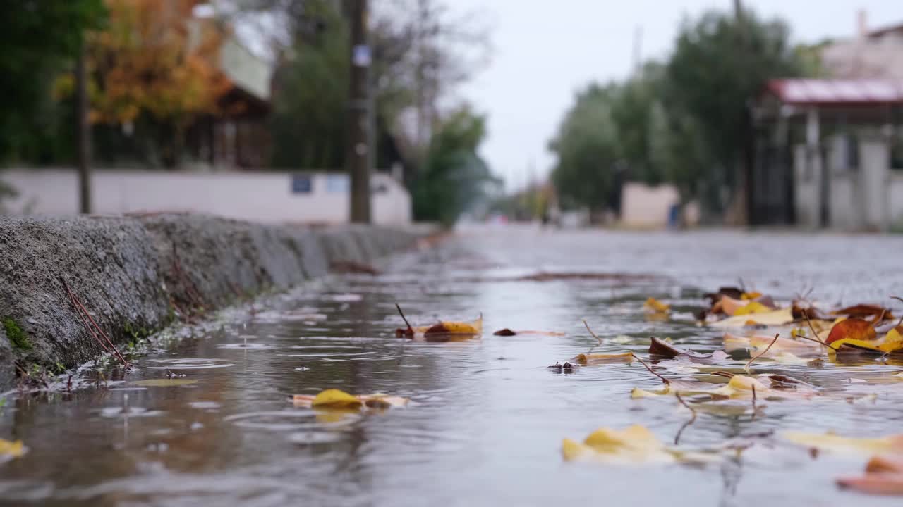 雨天在城市生活，雨滴落在秋叶上。视频素材