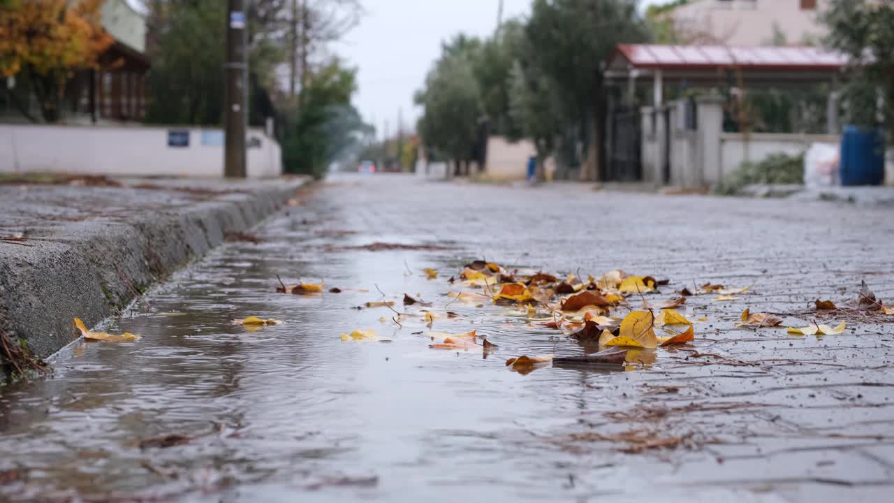 雨天在城市生活，雨滴落在秋叶上。视频素材