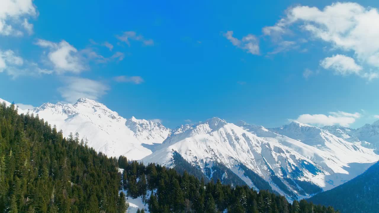 树木和白雪覆盖着群山视频素材