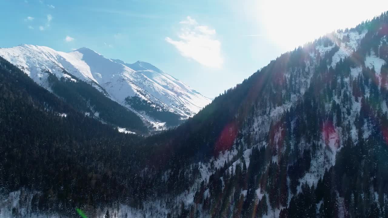 森林雪山视频素材