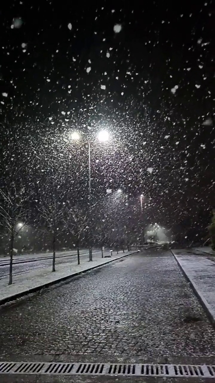 雪中的路灯视频素材