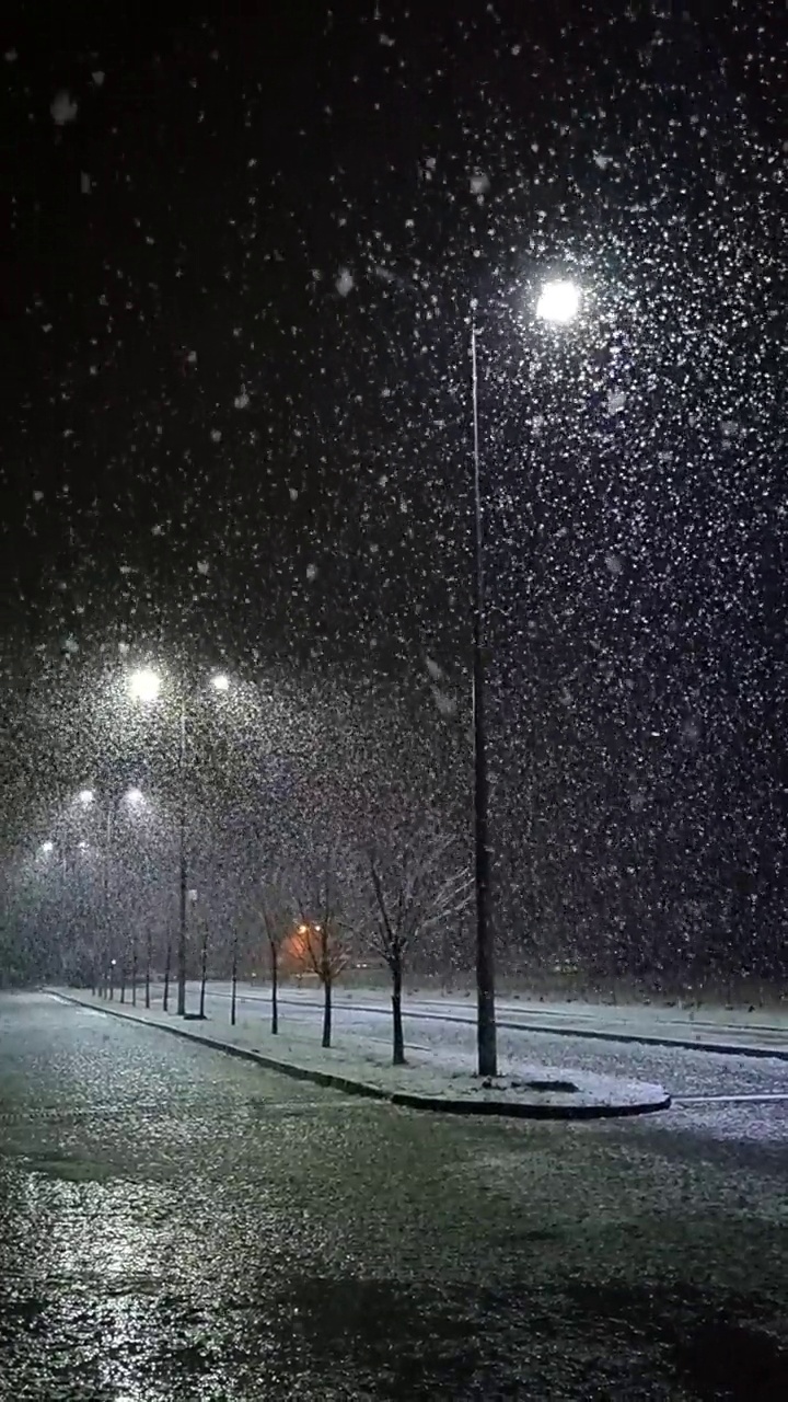 雪中的路灯视频素材