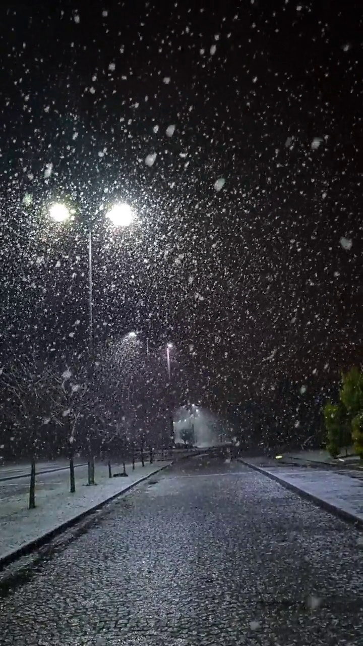 雪中的路灯视频素材