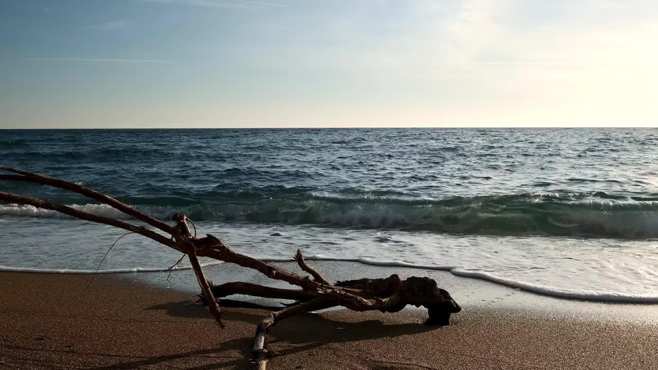 一块浮木在美丽的夕阳下的海浪中视频素材