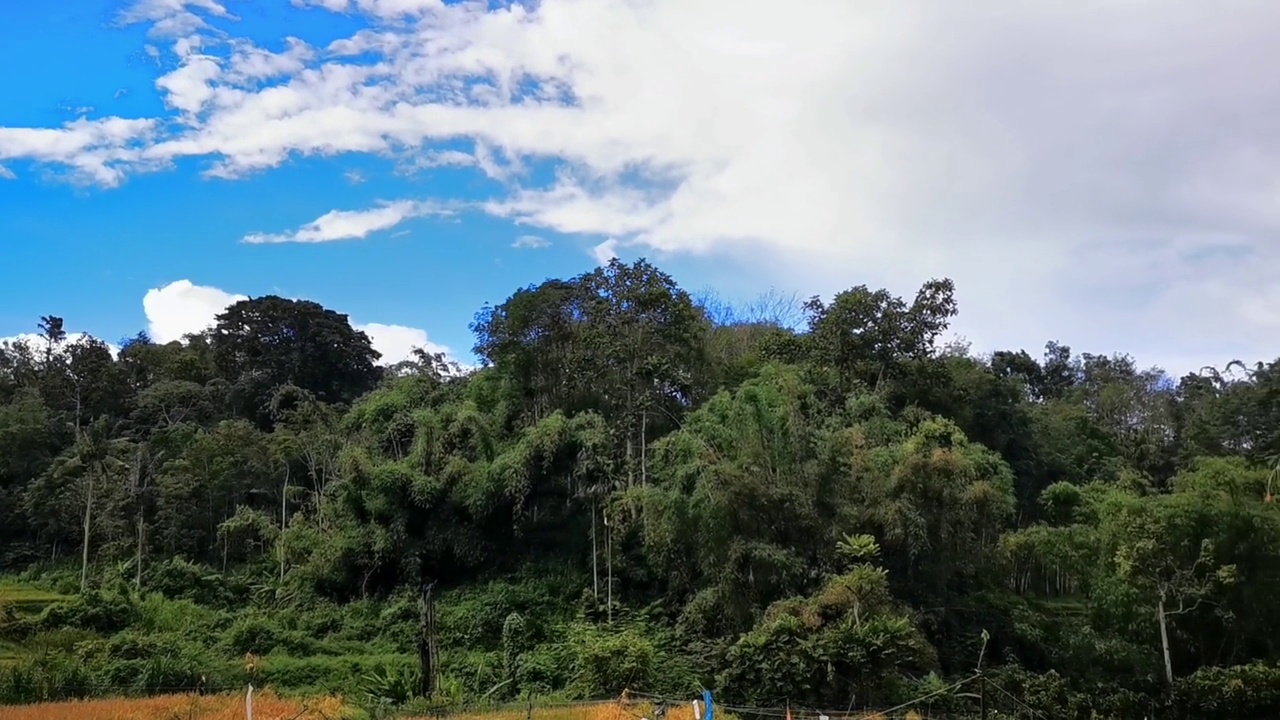 美丽的乡村，有稻田、山脉和树木，衬着湛蓝的天空和雨后的彩虹视频下载