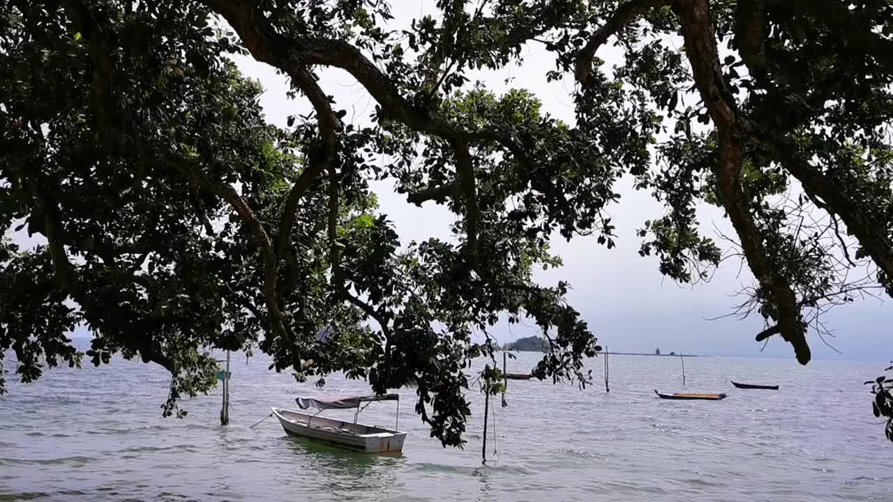 阳光明媚的日子里，渔船驶离海滩视频素材