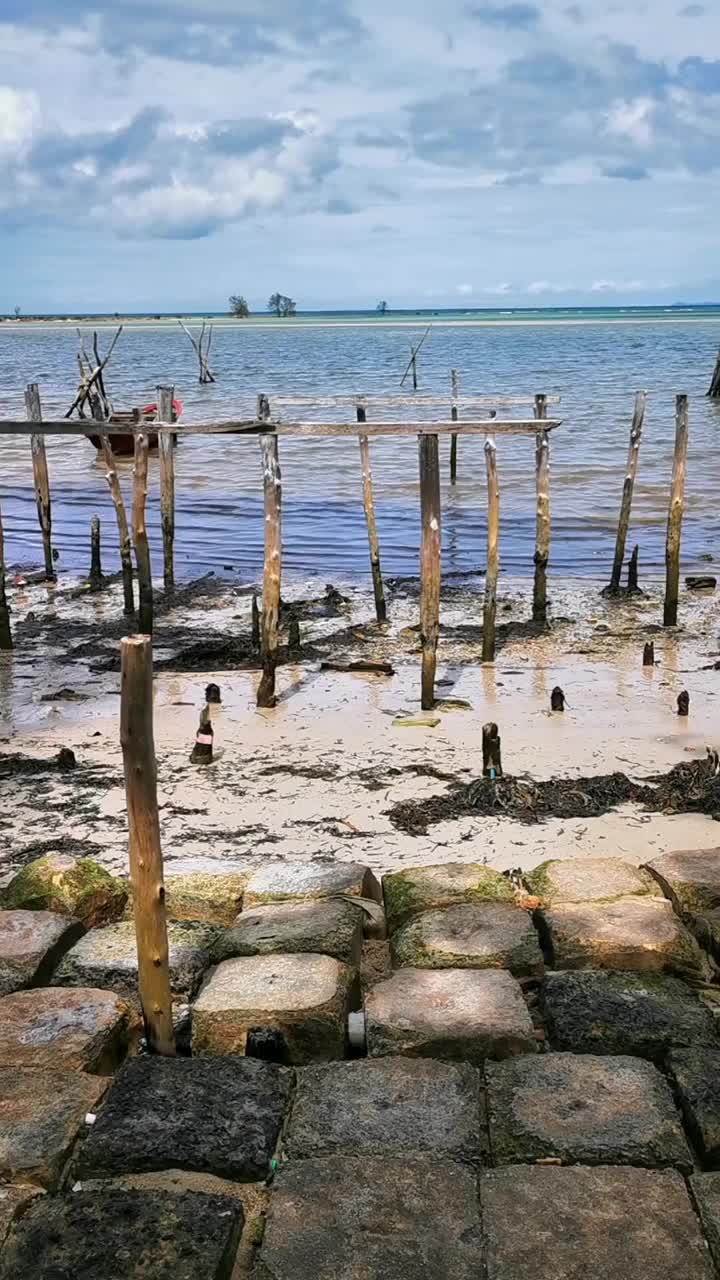 在海滩上寻找食物的鸽子视频下载