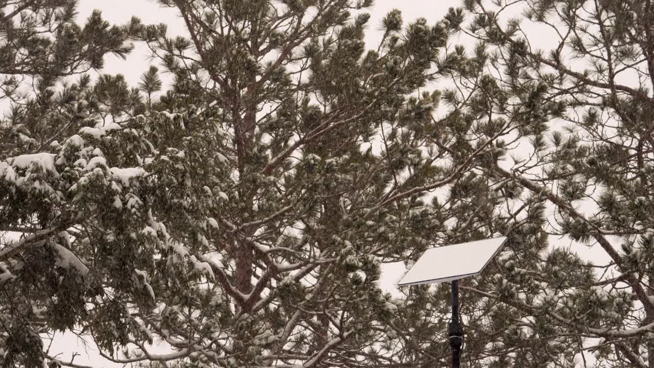 星链天线盘安装在杆子上。落下的雪从加热的盘子上融化。视频下载