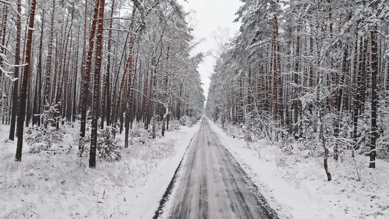 在波兰的柏油路和白雪覆盖的森林上空飞行。视频素材