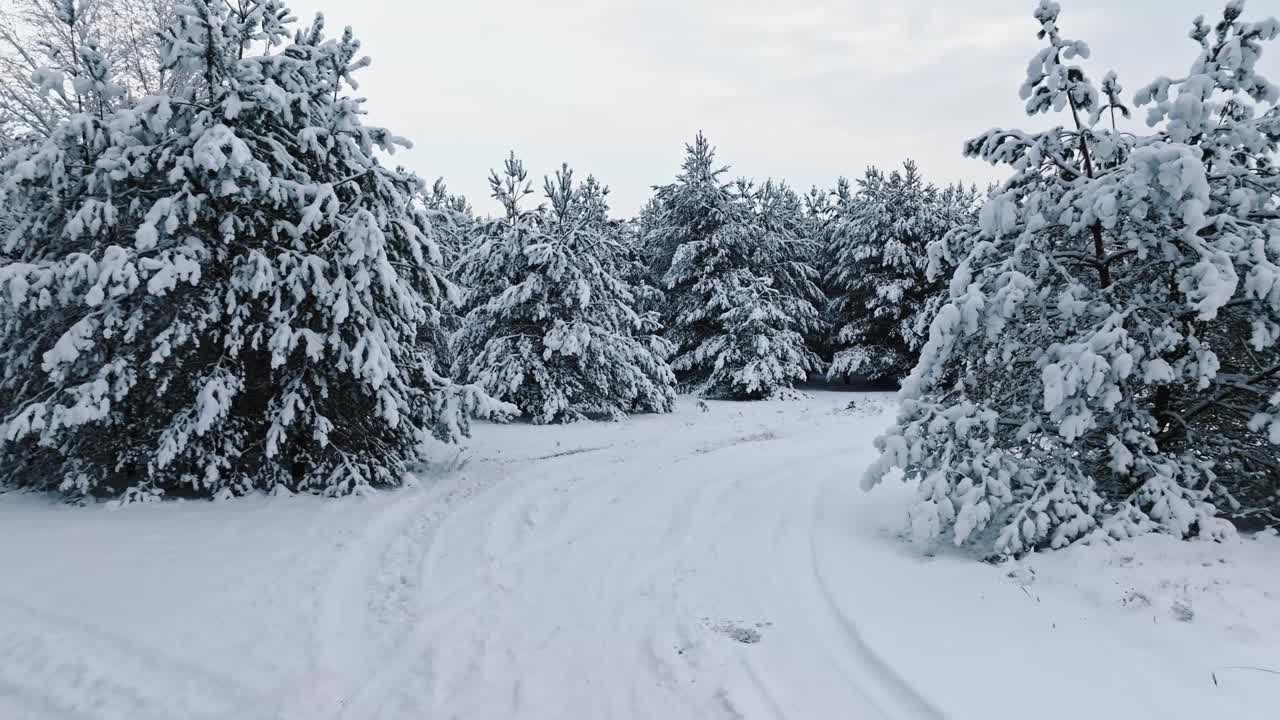 鸟瞰乡村道路和冬季冰雪覆盖的森林。视频素材