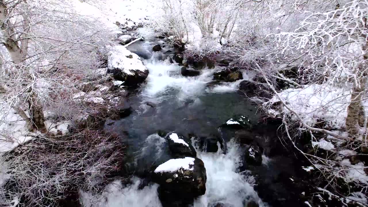 雪林河流的景色。冬季森林河流景观。白雪皑皑的江景。在秋天和下雪天的Saut Deth Pish瀑布附近视频素材