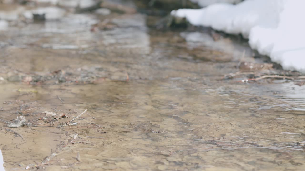 清泉在雪堆中流淌。春天的概念。视频素材