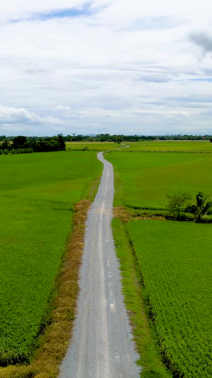 泰国乡间一条有绿色稻田的公路视频素材