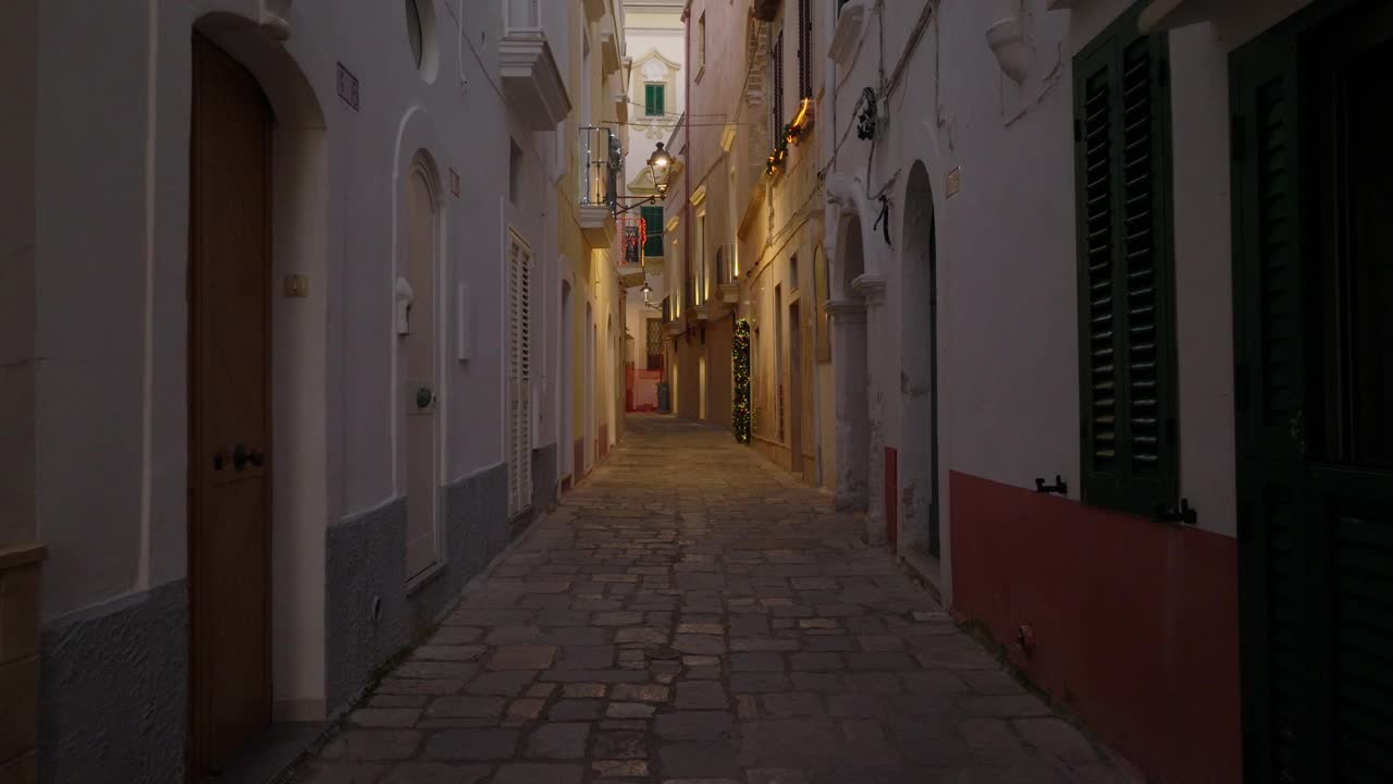 意大利普利亚的加里波利夜景视频素材