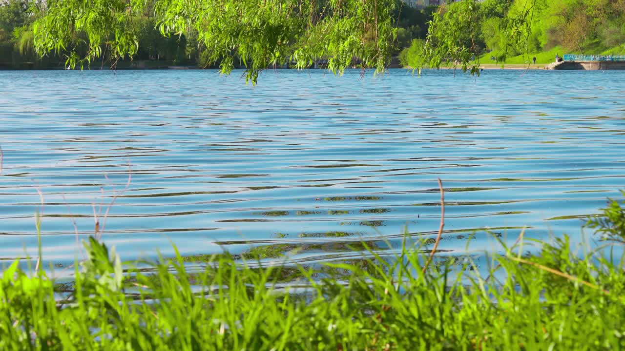 湖面波涛起伏，水中倒映着美丽的蓝天，视频下载