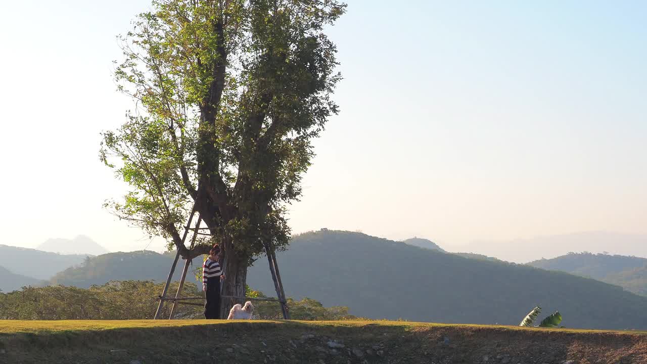 早晨，亚洲妇女和狗沿着山顶的绿草散步。视频素材