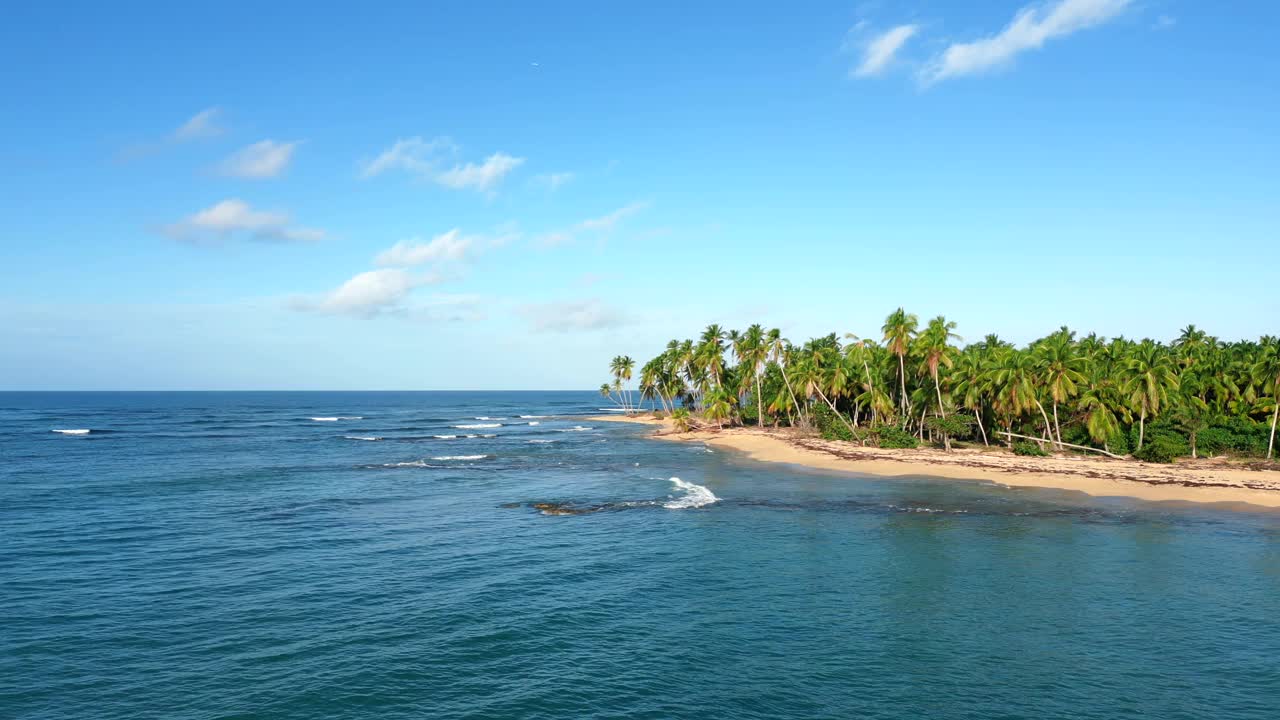 鸟瞰野生海滩的美丽海岸，海岸上有棕榈树。海浪拍打着沙滩，碧绿的海水视频素材