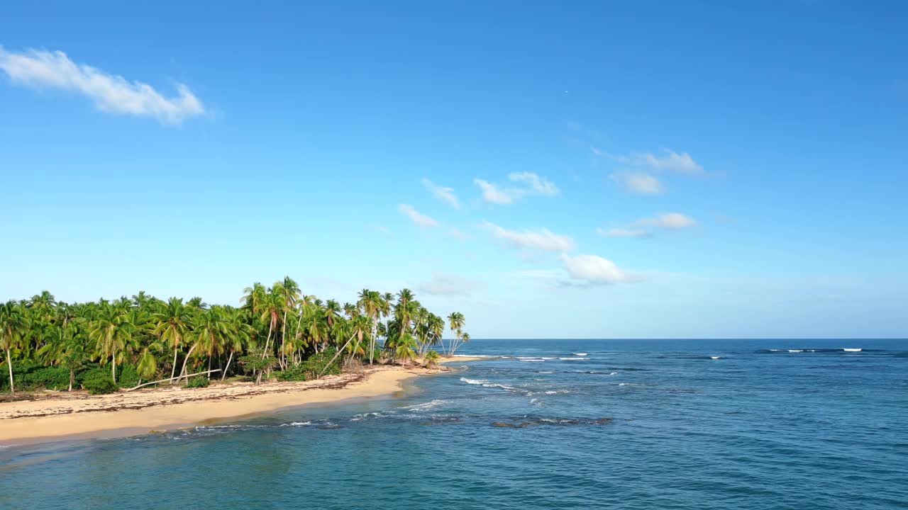 令人惊叹的热带海滩，海岸上有椰子树。海浪在沙滩上和加勒比海的蓝绿色视频素材