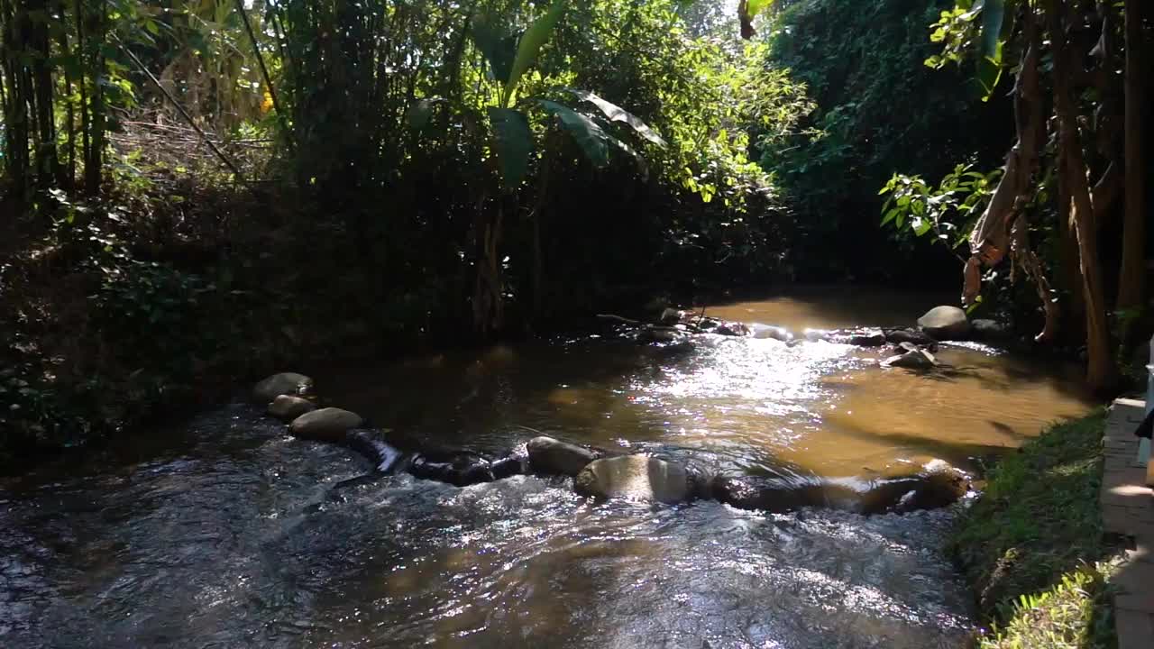 水流或小瀑布在大自然与阳光视频素材