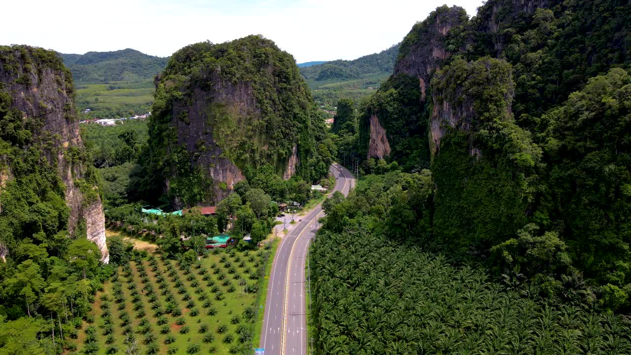 有石灰岩悬崖和岩石的公路，还有泰国甲米的棕榈油种植园视频素材