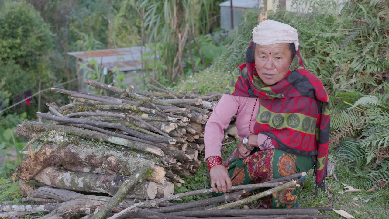 一名尼泊尔妇女在安纳普尔纳山脉附近收集森林视频素材