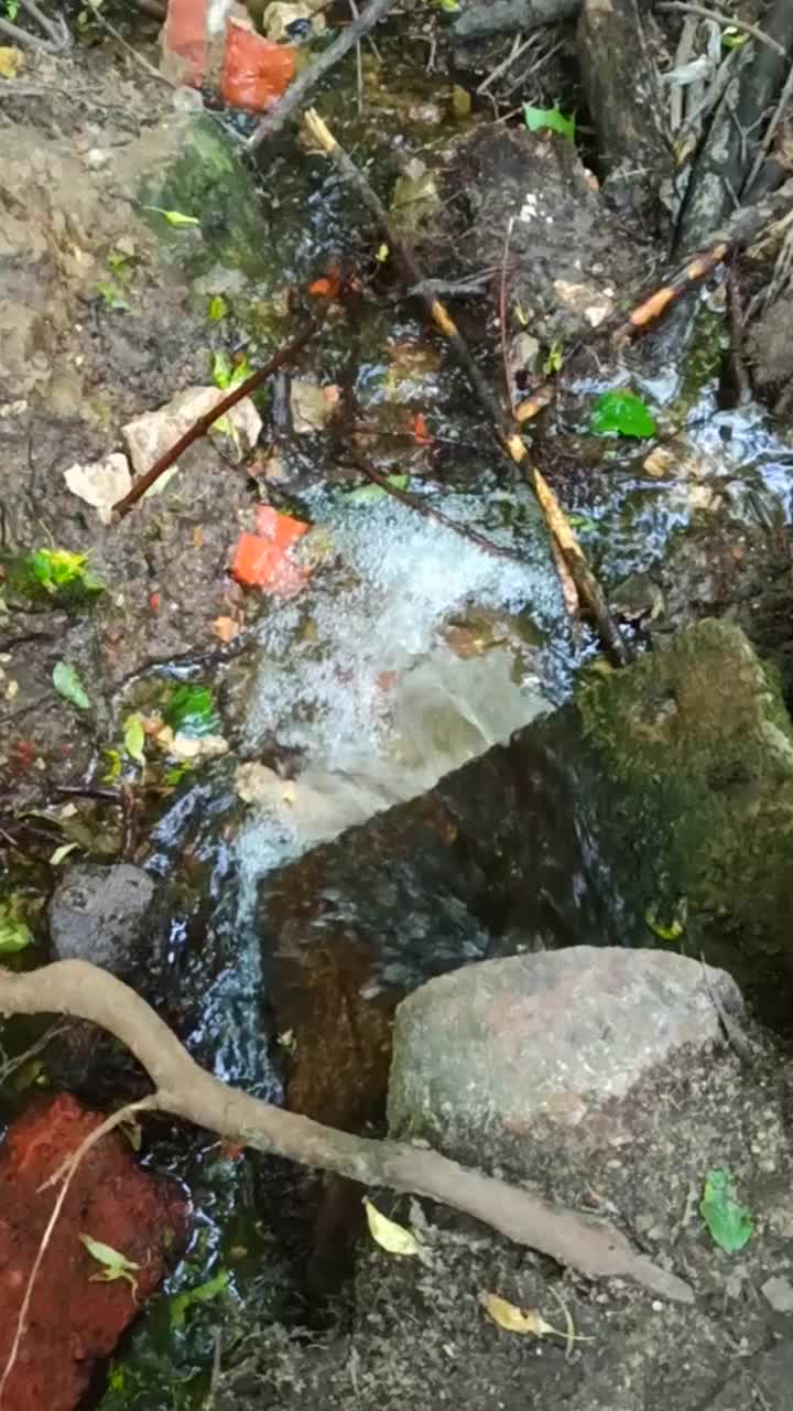 森林里的一条小溪，在石头和树木之间视频下载