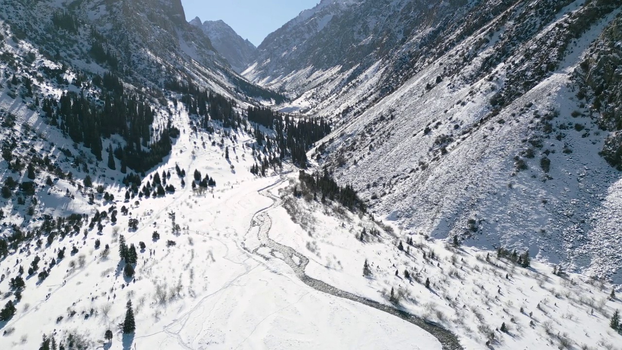 冬季公园的雪山和冷杉的鸟瞰图视频素材