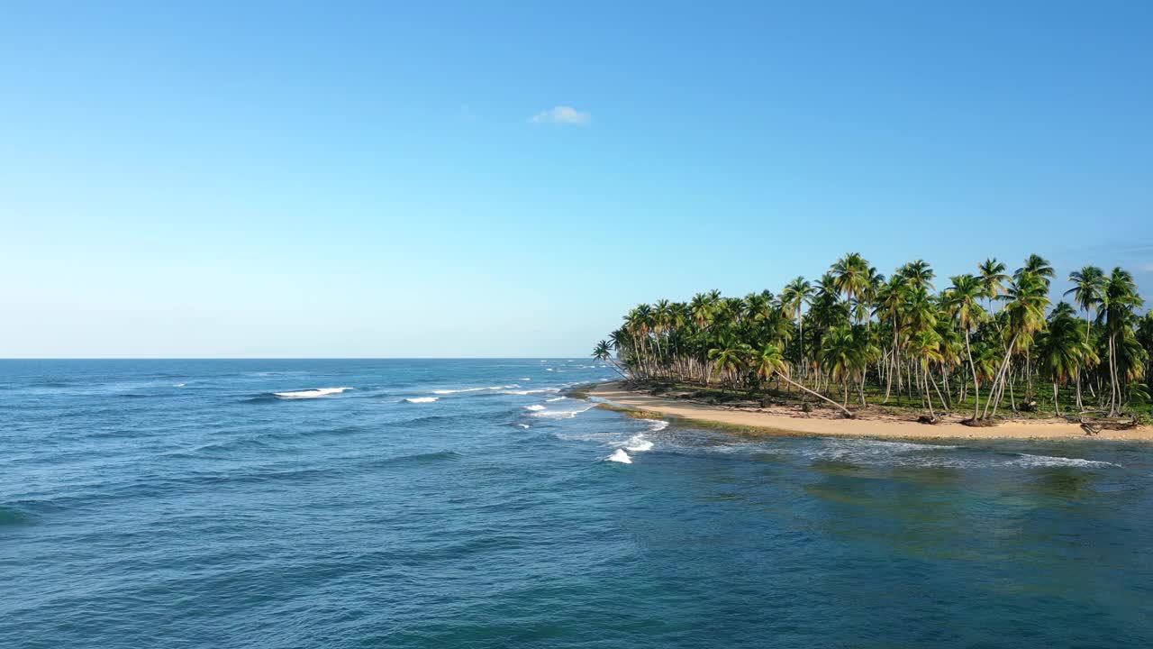 空中起飞在美丽的野生热带海滩与棕榈树的海岸。海浪拍打着狂野的沙滩。最好的度假胜地视频素材