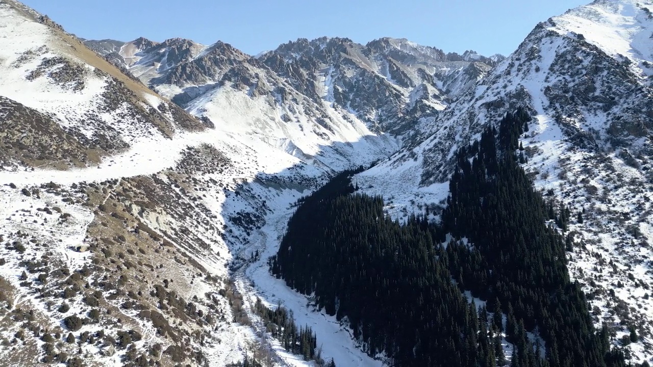 冬季公园的雪山和冷杉的鸟瞰图视频素材