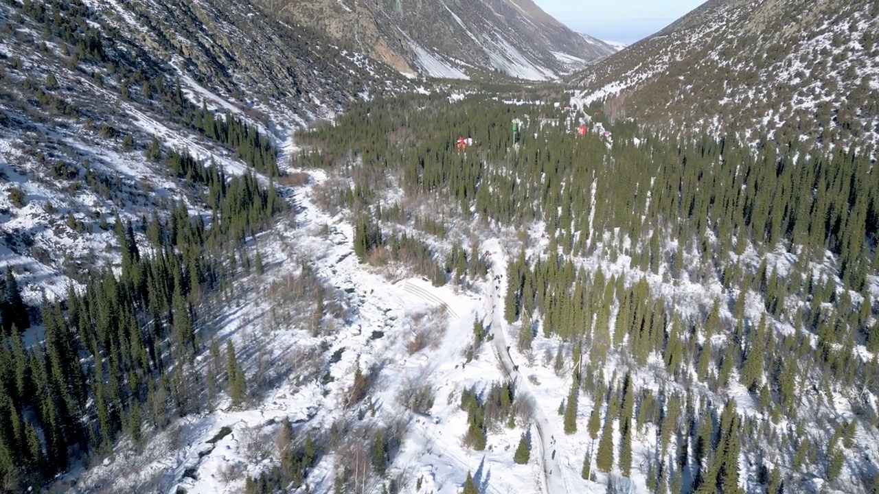 冬季公园的雪山和冷杉的鸟瞰图视频素材