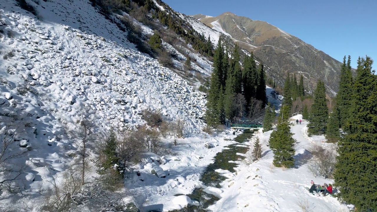 冬季公园里的雪山和冷杉的空中慢动作视频素材