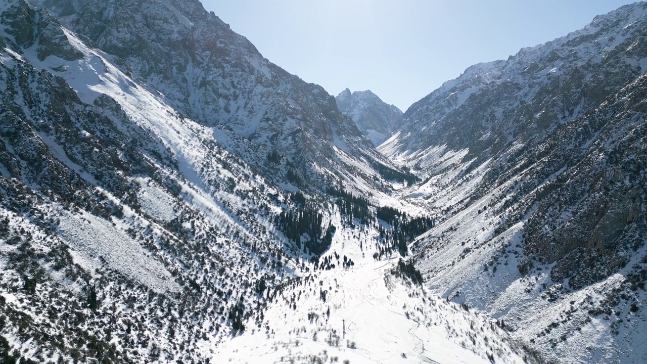 冬季公园的雪山和冷杉的鸟瞰图视频素材