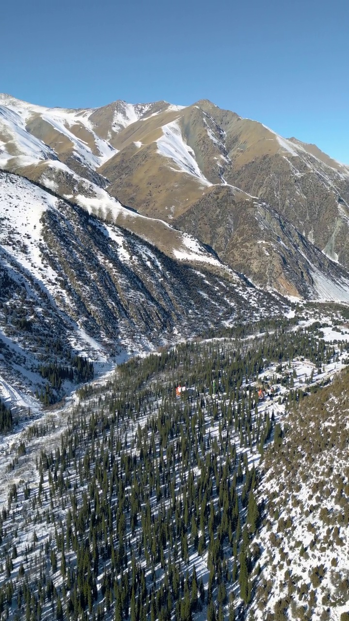 冬季公园的雪山和冷杉的鸟瞰图视频素材