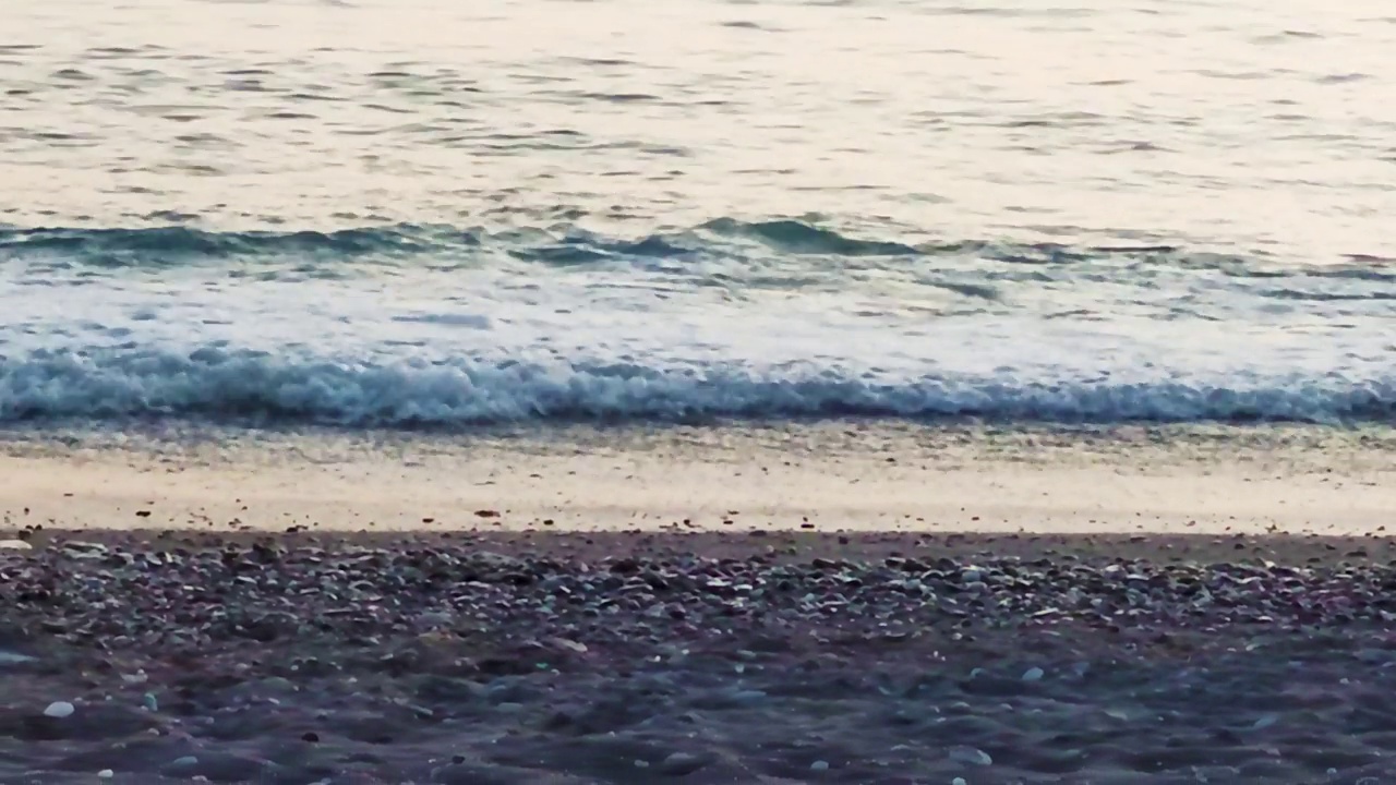 海滩上的海鸥。海鸥在海浪的背景下寻找食物视频素材