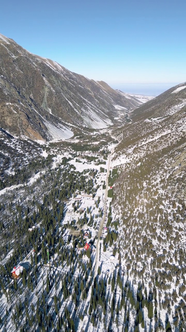 冬季公园的雪山和冷杉的鸟瞰图视频素材