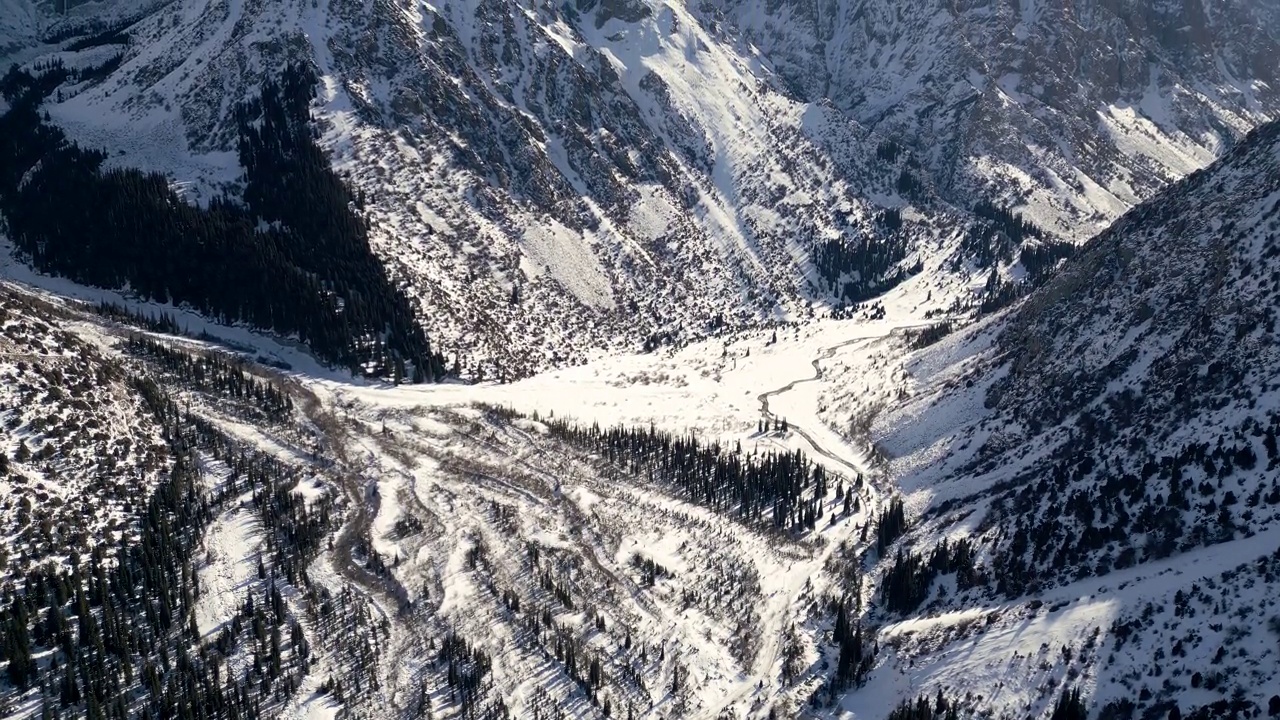 冬季公园的雪山和冷杉的鸟瞰图视频素材