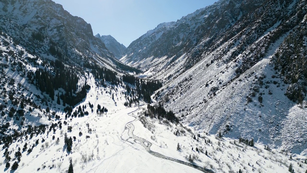 冬季公园的雪山和冷杉的鸟瞰图视频素材