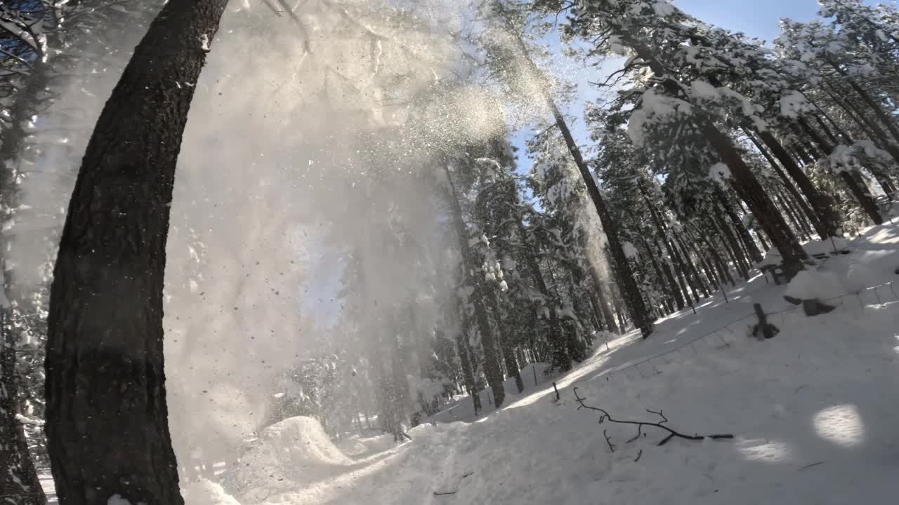 大雪覆盖了山上的树木视频素材