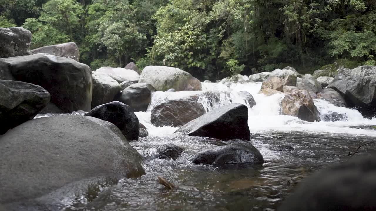 在热带森林里有一个小瀑布视频素材