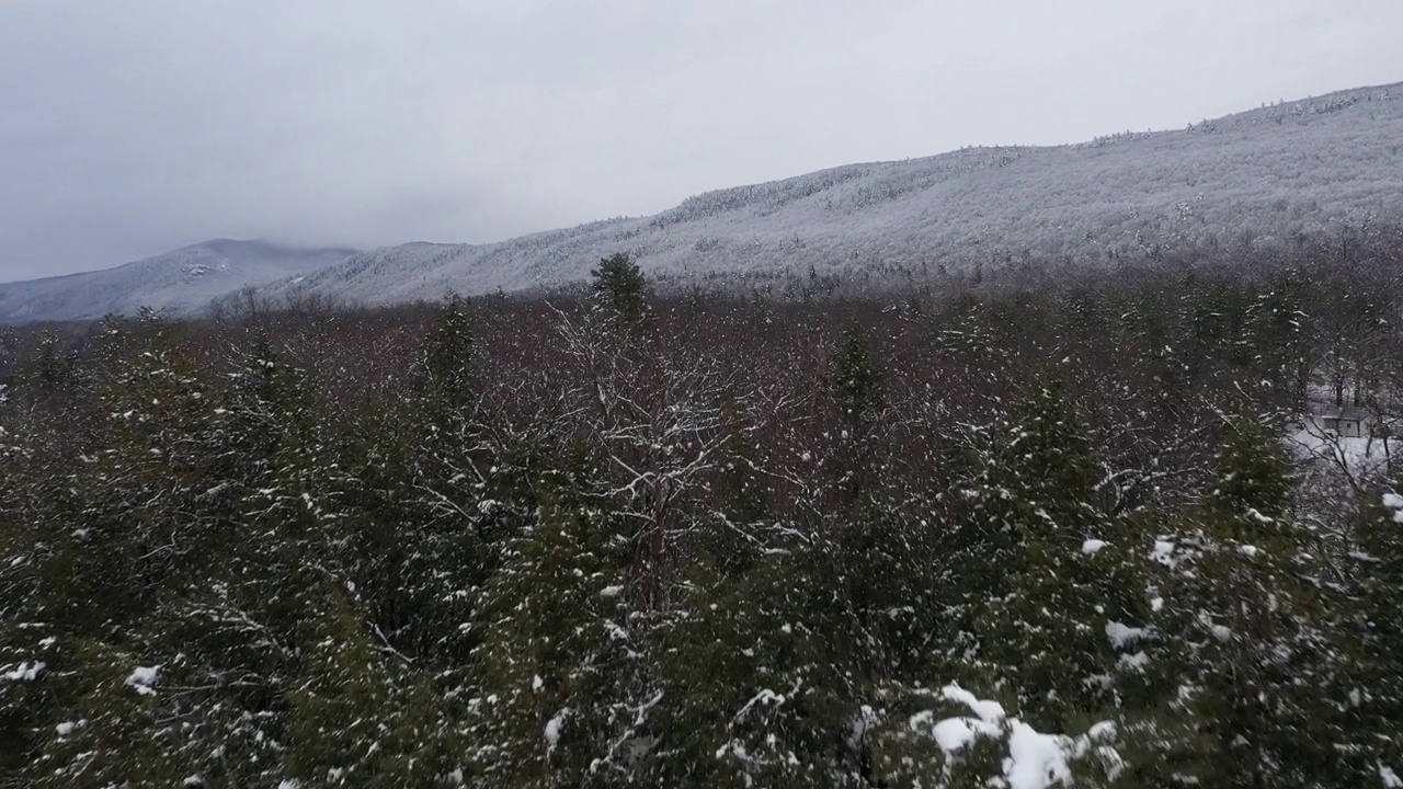 在雪佛蒙特森林上空的空中视频素材