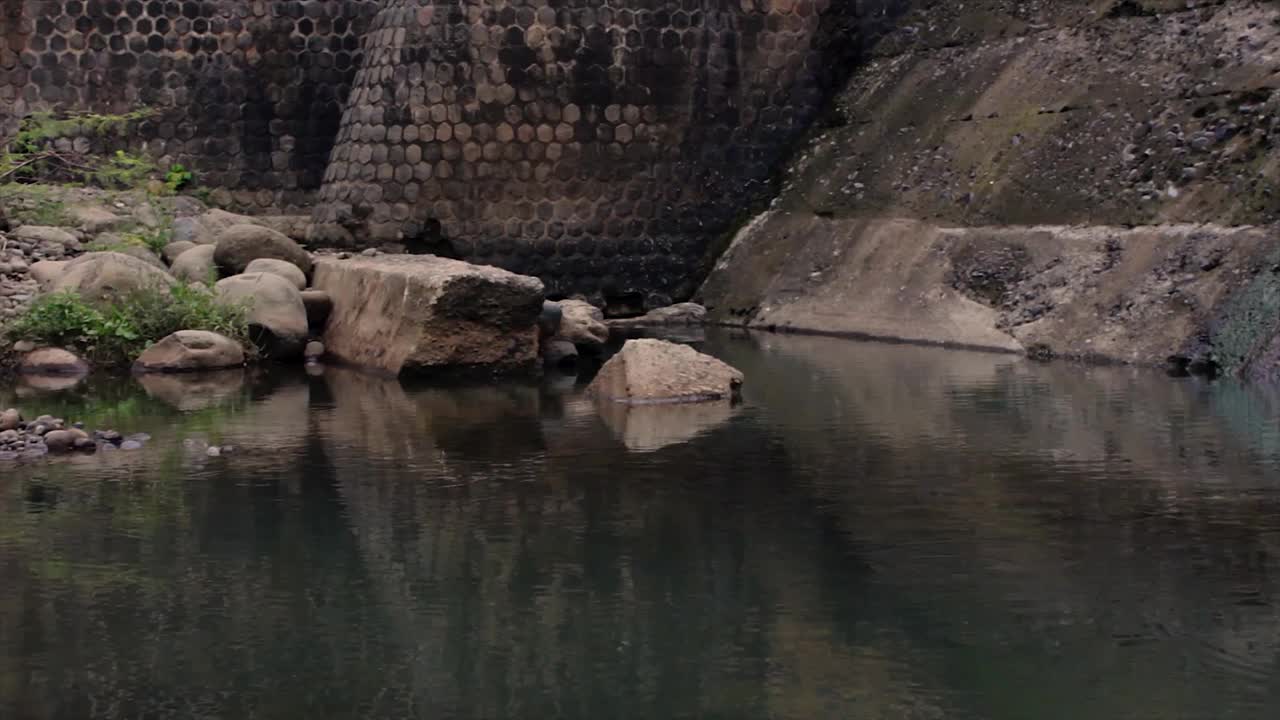 堤岸上有水视频下载