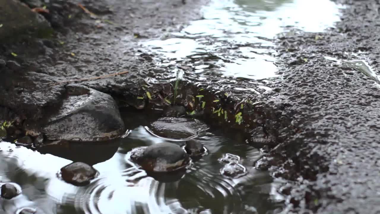 这个充满水的沥青洞看起来很独特视频素材