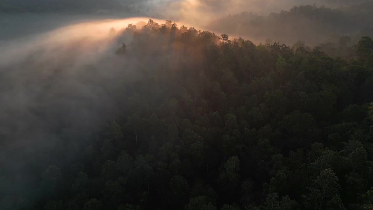 航拍上方的雾与绿色森林日出时间在早晨视频素材