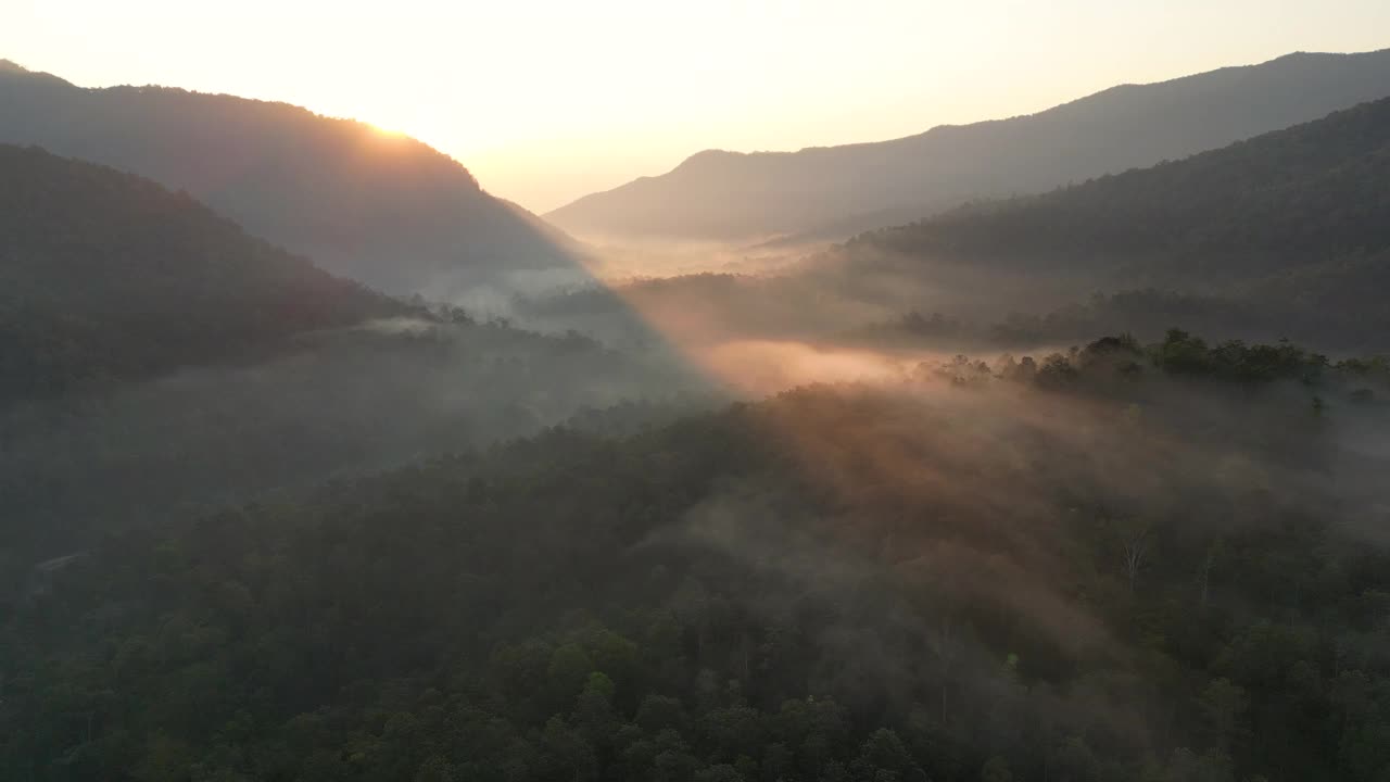 航拍上方的雾与绿色森林日出时间在早晨视频素材