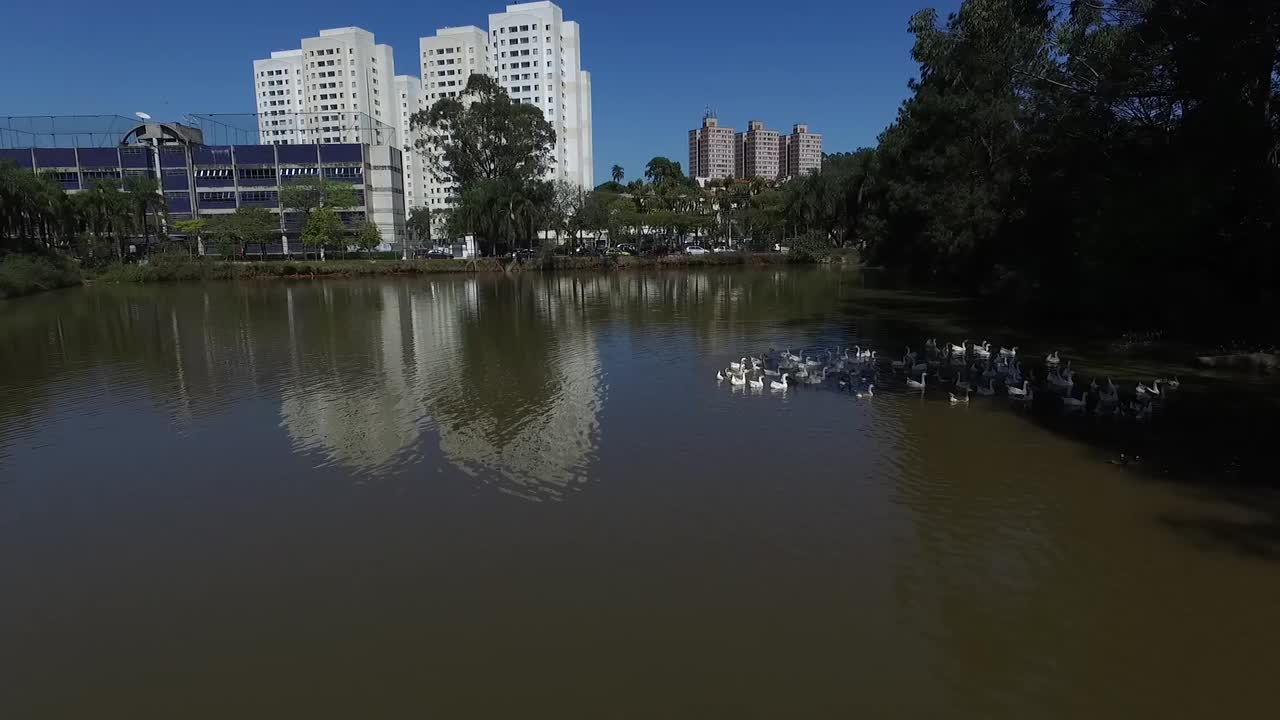 圣保罗市南区视频素材