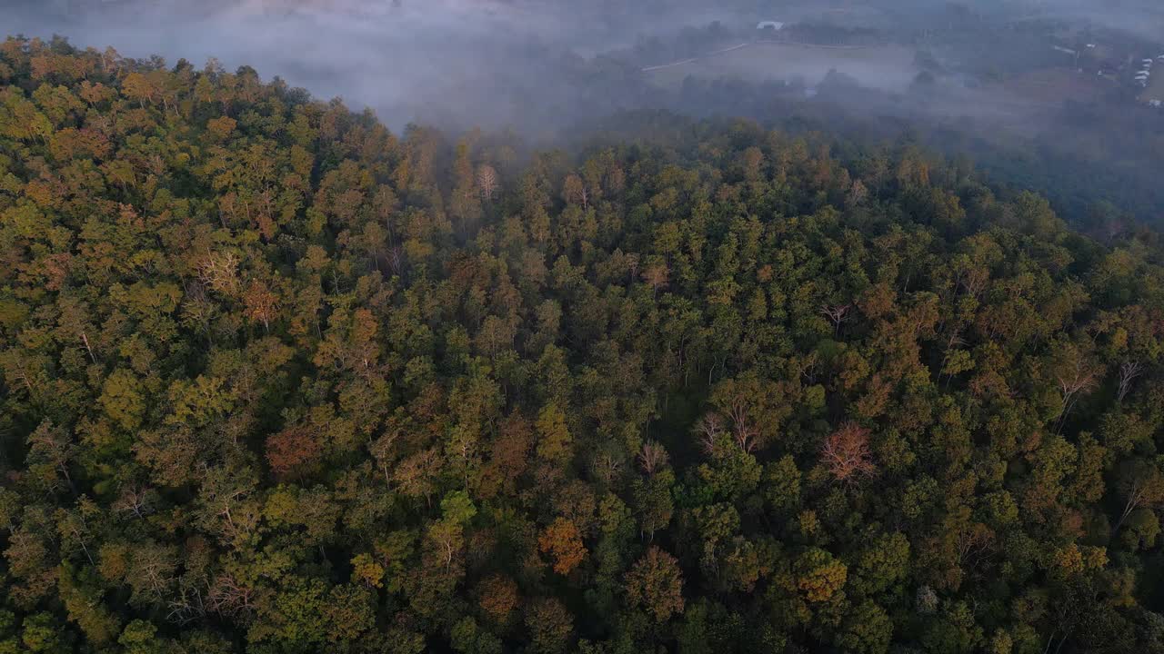 航拍上方的雾与绿色森林日出时间在早晨视频素材