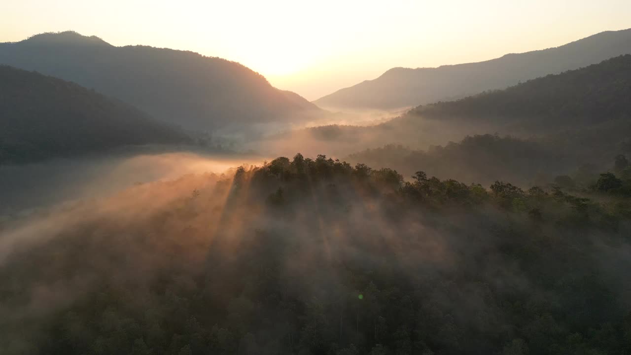 航拍上方的雾与绿色森林日出时间在早晨视频素材