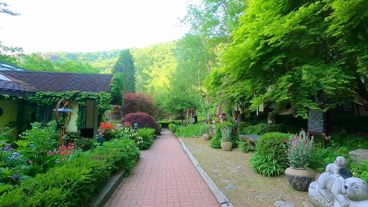 Herbnara农场/平昌郡，江原道，韩国视频素材